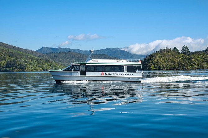 Motuara Island Bird Sanctuary and Ship Cove Cruise from Picton - Timing and logistics in Picton: the morning matters