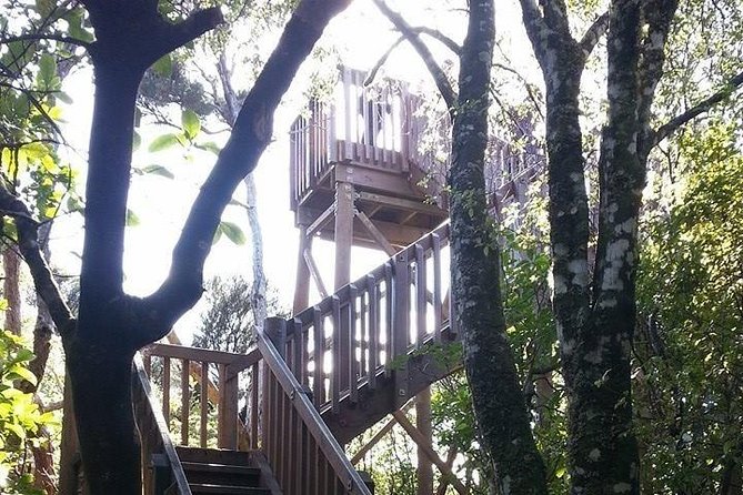 Motuara Island Bird Sanctuary and Ship Cove Cruise from Picton - The Queen Charlotte Sound cruise from Picton: scenery plus wildlife time