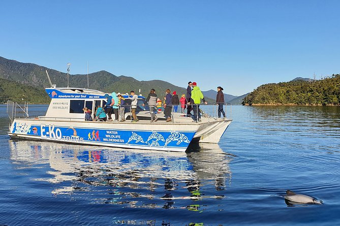 Motuara Wildlife Sanctuary Tour and Dolphin Cruise from Picton - Dolphin and seal spotting in Queen Charlotte Sound and beyond