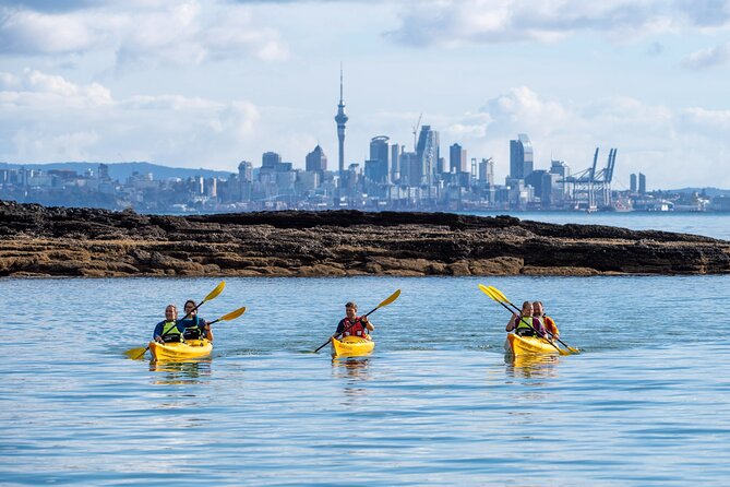 Motukorea / Browns Island Sea Kayak Journey - Price and value: is $121.01 worth it?