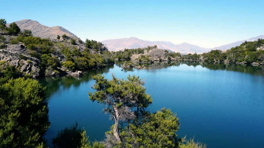 Mou Waho Island: 3-Hour Cruise and Guided Nature Walk - Who Should Book, and Who Should Think Twice