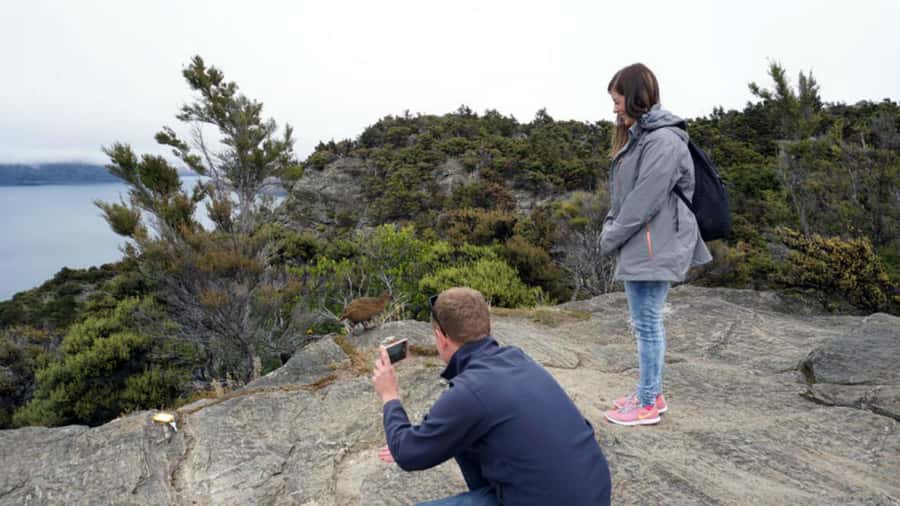 Mou Waho Island: 3-Hour Cruise and Guided Nature Walk - My Booking Advice: Perfect Morning in Wanaka or a Miss