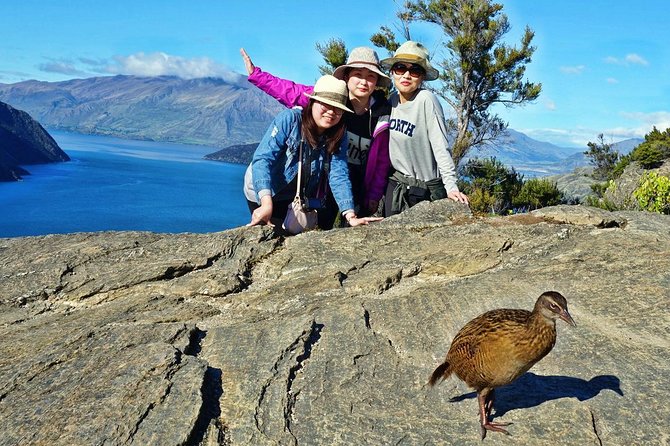 Mou Waho Island Cruise and Guided Nature Walk - The Lake Wānaka cruise: the scenery plus the story while you float