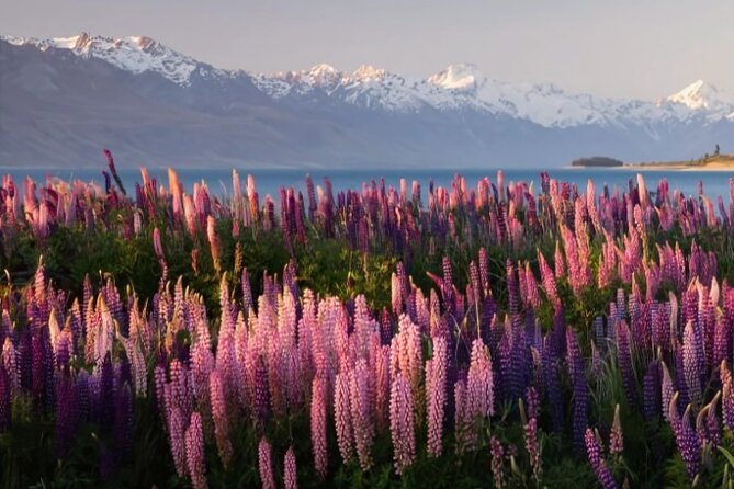 Mount Cook & Lake Tekapo Day Trip from Christchurch - Tasman Glacier: a 1-hour look at ice retreat and icebergs