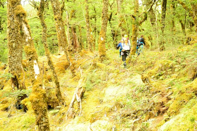 Mt Aspiring Full Day Canyon ex Queenstown or Wanaka - Entering the UNESCO Canyon: What the 3 to 4 Hours Looks Like