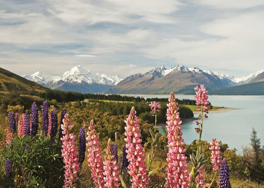 Mt. Cook Day-Tour: Christchurch to Queenstown - A one-way scenic shortcut between Christchurch and Queenstown
