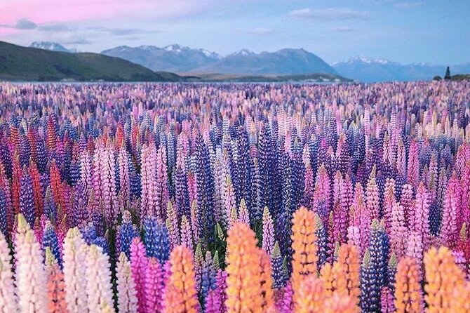 Mt. Cook Full Day Private Tour via Tekapo from Christchurch - Geraldine First Stop: A Calm Start Before the Alps