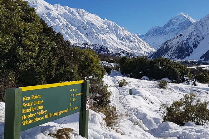 Mt Cook & Lake Tekapo 2-Day Small Group Tour from Queenstown - Mt Cook National Park Free Time: How to Choose the Walk