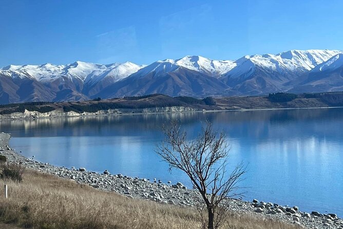 Mt. Cook Private Day Trip From Queenstown with Lake Tekapo - Why this Mt Cook private day beats a rushed hop-on, hop-off