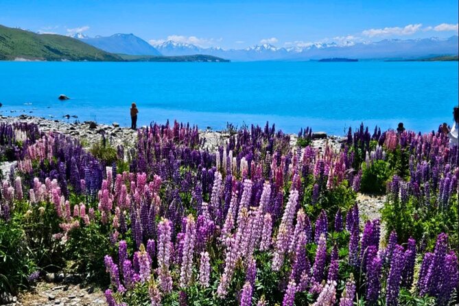 Mt. Cook Private Day Trip From Queenstown with Lake Tekapo - Lake Pukaki and Lake Tekapo: two turquoise stops, one full mountain backdrop story