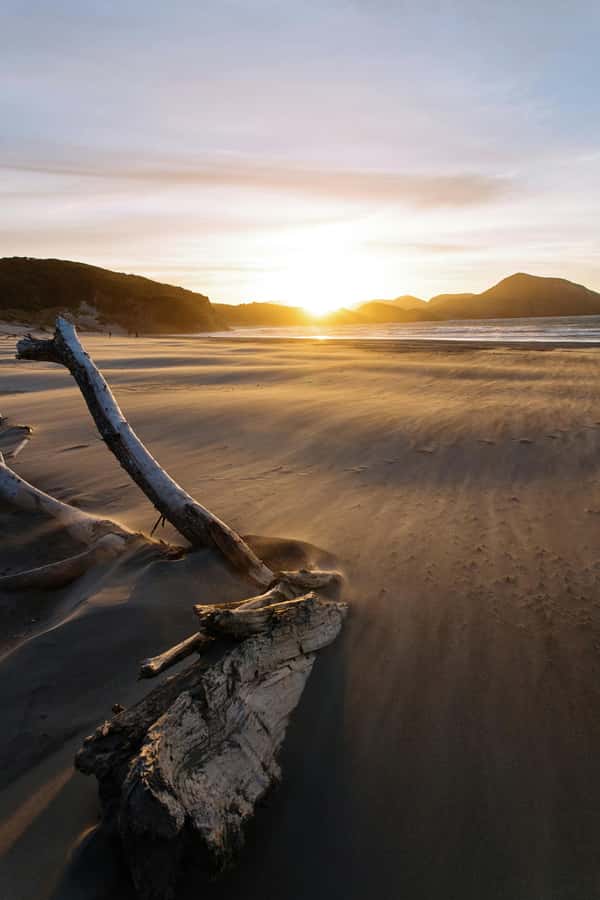 Mt. Eden, Piha Beach & Karekare Waterfalls - PRIVATE TOUR - Arataki Visitor Centre: Māori Carvings With Real Context
