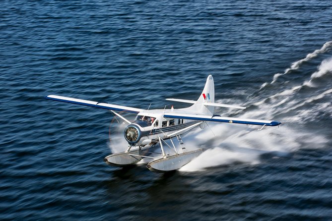 Mt. Tarawera Volcano Scenic Floatplane Tour from Rotorua - Key highlights before you book
