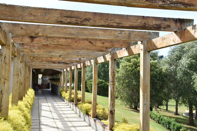 Muriwai Scenic Wine Tour from Auckland - Timing and weather reality: how to plan your afternoon
