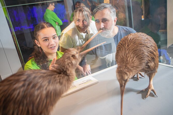 Museum of NZ Te Papa Tongarewa: International Visitor Entry - First visit plan: how to enter without losing time