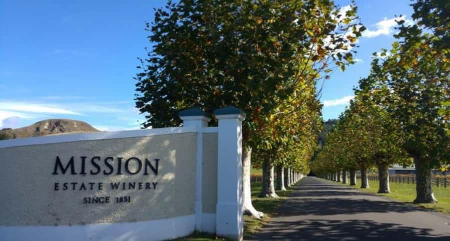 Napier: Afternoon Winery & Gin Tasting Tour Thu Fri Sat - Pickup, Transport, and the 4.5 Hour Rhythm