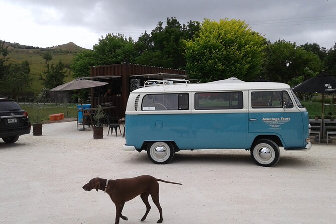 Napier and Hawkes Bay Scenic and Art Deco Tour by VW Kombi - Why a 1970 VW Kombi makes Napier feel different