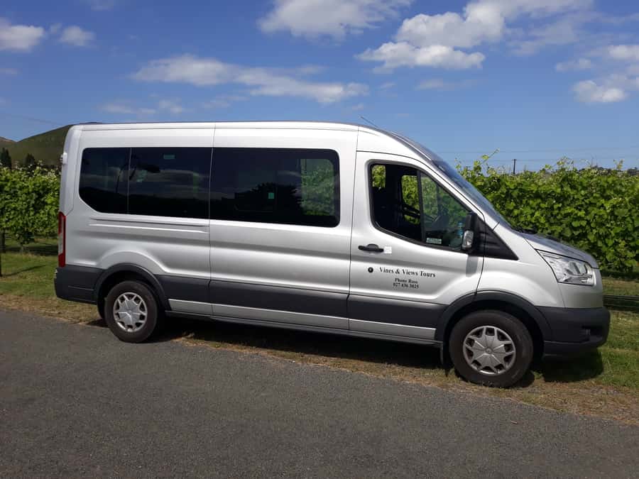 Napier: Art-Deco + Te Mata Peak+ Garden Walk + Wine Tasting - Practical tips for a smooth day: shoes, weather, and van comfort