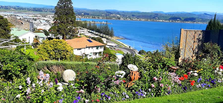 Napier: Art-Deco + Te Mata Peak+ Garden Walk + Wine Tasting - The minibus, the timing, and how to avoid the usual cruise-day stress