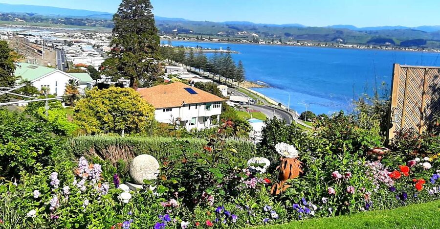 Napier: Art-Deco + Te Mata Peak+ Garden Walk + Wine Tasting - Te Mata Peak and the Heretaunga Plains view that anchors the whole day