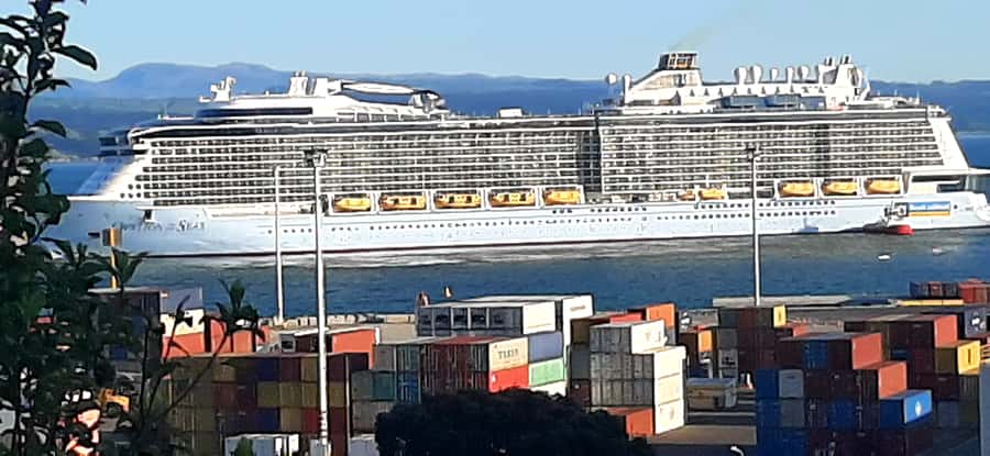 Napier: Art-Deco + Te Mata Peak+ Garden Walk + Wine Tasting - Bluff Hill Lookout, plus the rare view of your ship below