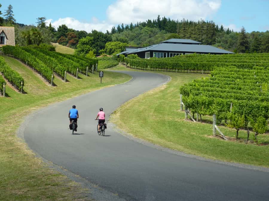Napier: Cape Coast Winery Tour on Pedal or E-Bikes - Key highlights you will feel in your first hour