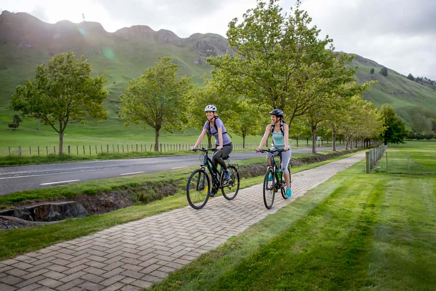 Napier: Cape Coast Winery Tour on Pedal or E-Bikes - Clearview Estate and Elephant Hill: start slow, eat if you want