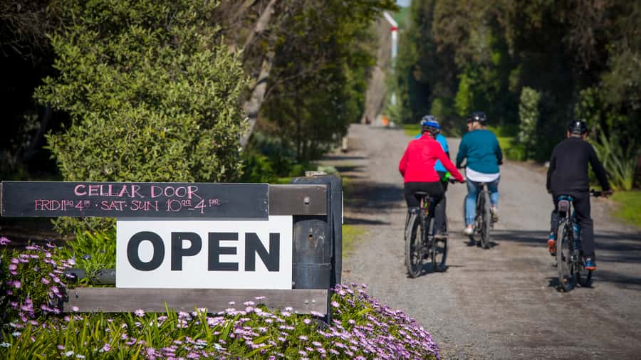 Napier: Cape Coast Winery Tour on Pedal or E-Bikes - Askerne Winery lunch at the halfway point: build your own platter