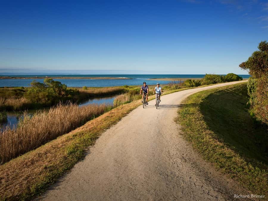 Napier: Cape Coast Winery Tour on Pedal or E-Bikes - Coastline warm-up: the 4 km ride to the first cellar doors