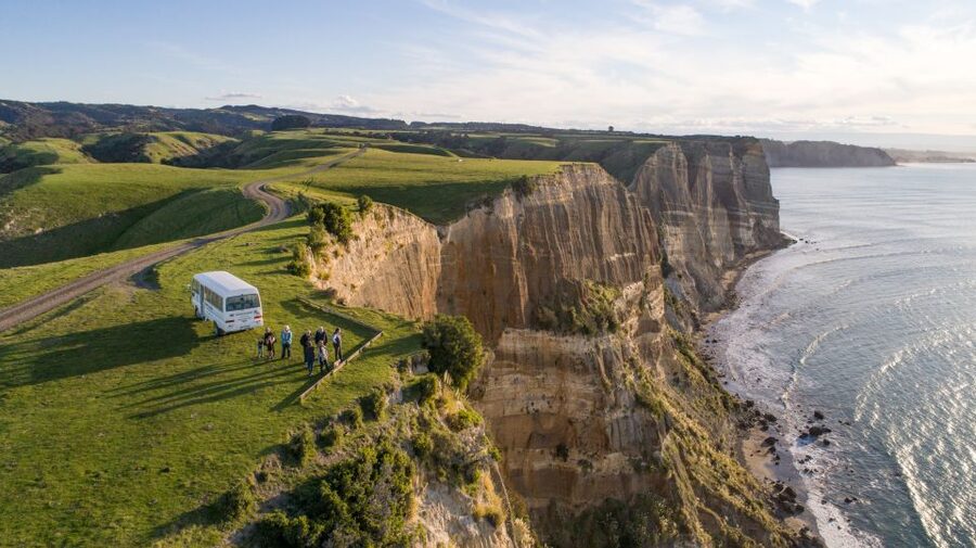 Napier: Cape Kidnappers Gannet, Nature & Sightseeing Tour - What to wear, when to go, and how to photograph gannets