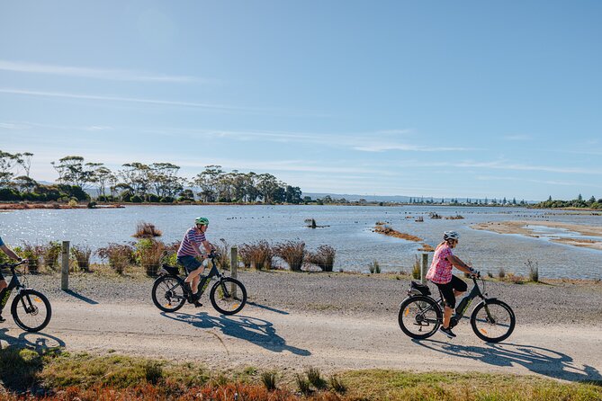 Napier E-bike Hire - Key things to know before you ride