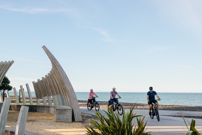 Napier E-bike Hire - Route realities: how to avoid getting lost (and what to do if you do)