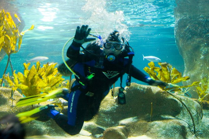 National Aquarium of New Zealand in Napier General Admission - Key highlights to look for