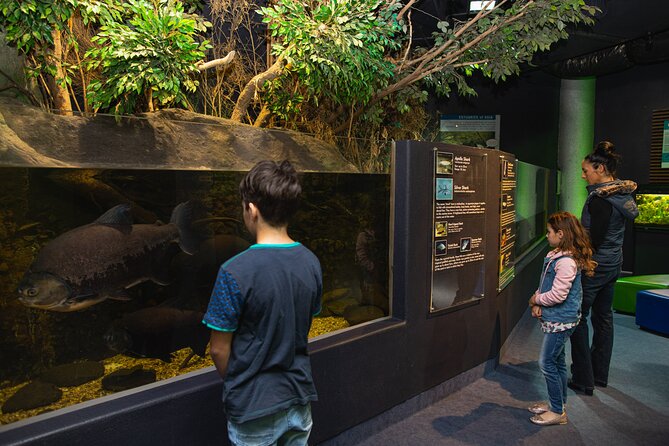 National Aquarium of New Zealand in Napier General Admission - Feeding times at 10am and 2pm: how to plan your visit