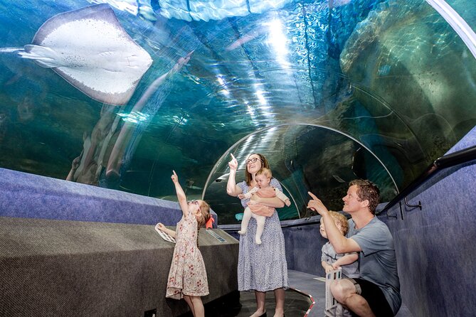 National Aquarium of New Zealand in Napier General Admission - Who should book this aquarium in Napier