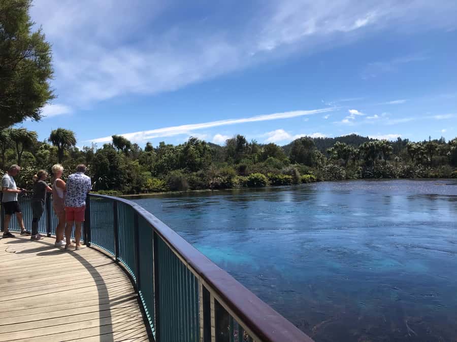 Nelson: Abel Tasman Cruise-Fly Day Tour - Key points to know before you go