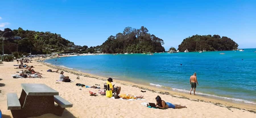 Nelson: Abel Tasman Cruise-Fly Day Tour - Group size, comfort, and limits you need to plan around