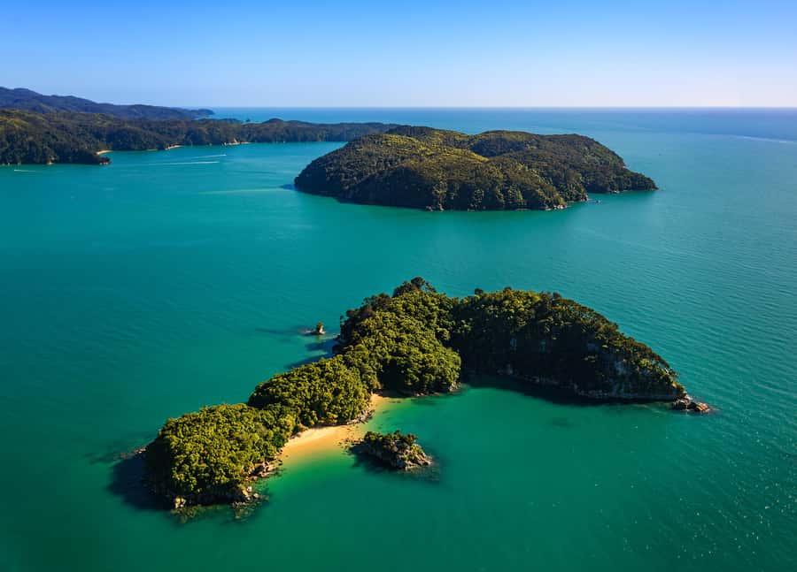 Nelson: Abel Tasman Cruise-Fly Day Tour - Tōtaranui beach picnic and free time with swim options