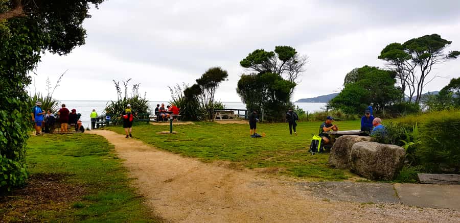 Nelson: Abel Tasman Cruise-Fly Day Tour - Te Waikoropupū Springs: a 30-minute easy walk with big water views