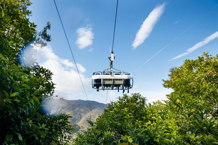 Nelson: Cable Bay Adventure Park Skywire Experience - The Skywire Ride: Speed, Distance, and Why the Return Leg Changes Everything