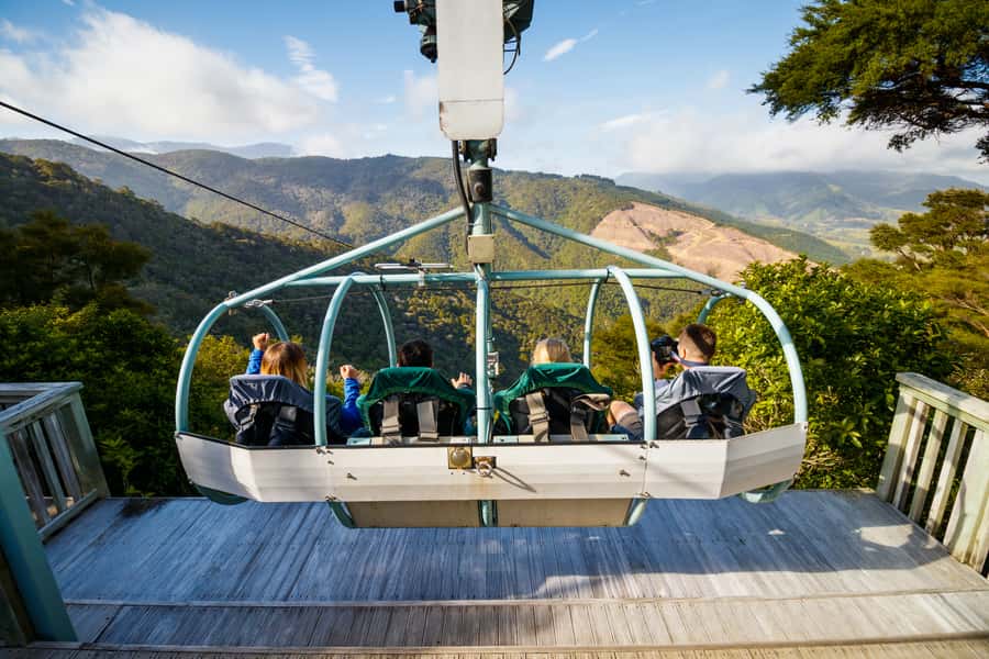 Nelson: Cable Bay Adventure Park Skywire Experience - Views Over Native Forest and Farmland: What You Should Actually Look For