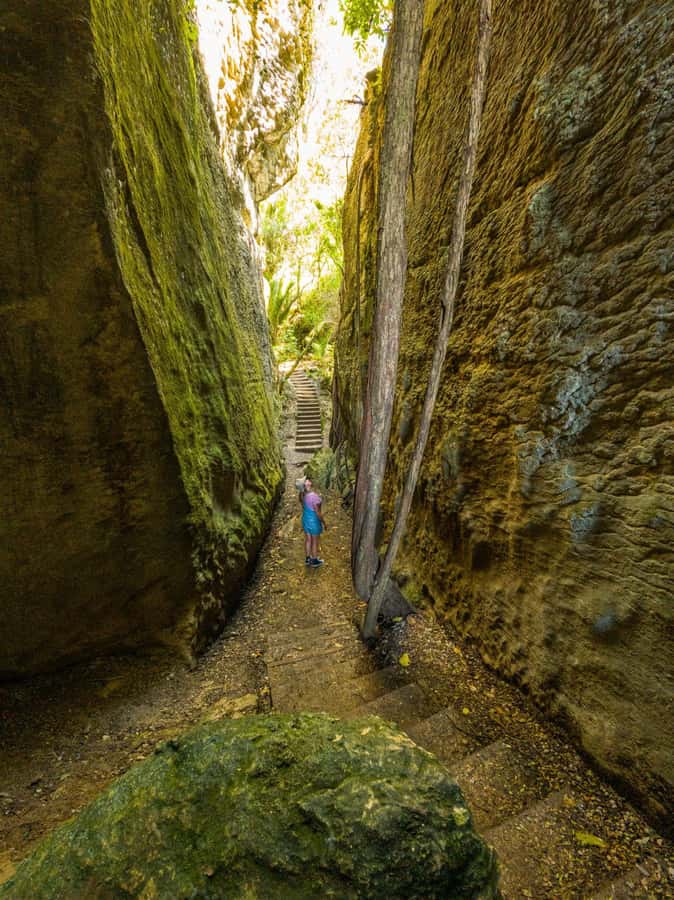 Nelson: Golden Bay in a Day Tour - Key highlights worth planning around