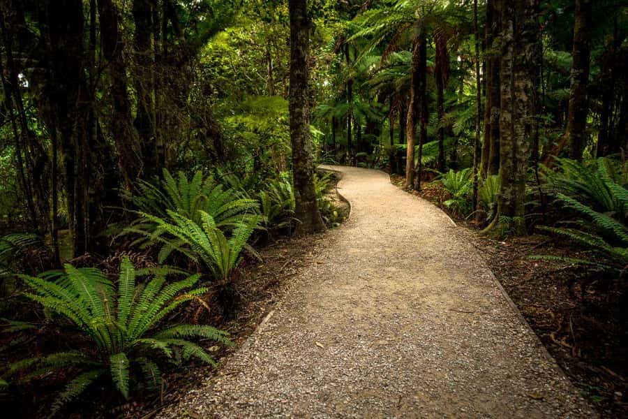 Nelson: Golden Bay in a Day Tour - Tasman District photo stops and the scenic drive that adds meaning