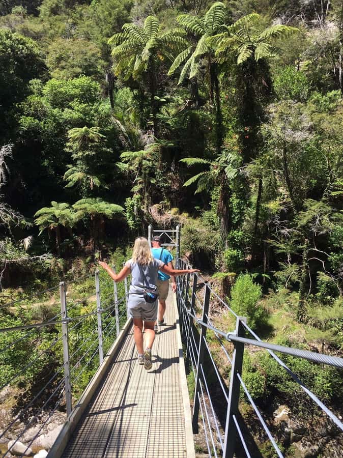Nelson: Golden Bay in a Day Tour - The Grove Reserve: ancient trees, birds, and rock formations by the sea