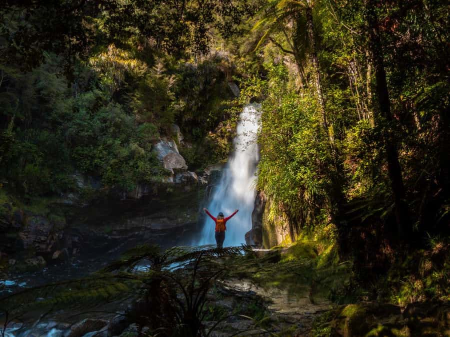 Nelson: Golden Bay in a Day Tour - How the guide makes it feel flexible, not rushed