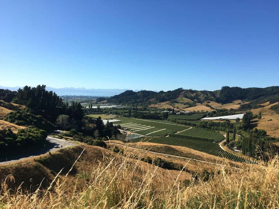 Nelson: Golden Bay in a Day Tour - Price and logistics: does $256 per person make sense?