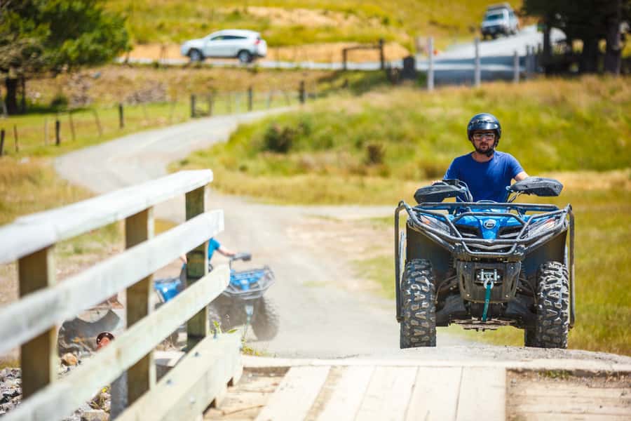 Nelson: Guided Quad Biking Tour Through Forest and Farmland - Key highlights to know before you book