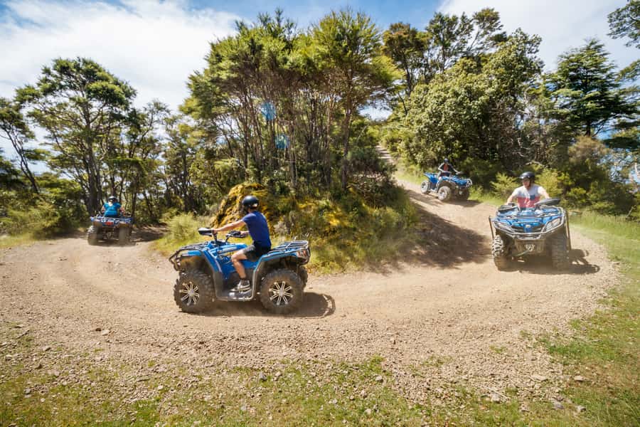 Nelson: Guided Quad Biking Tour Through Forest and Farmland - Price Value: Is an $80 Guided Quad Tour Worth It?