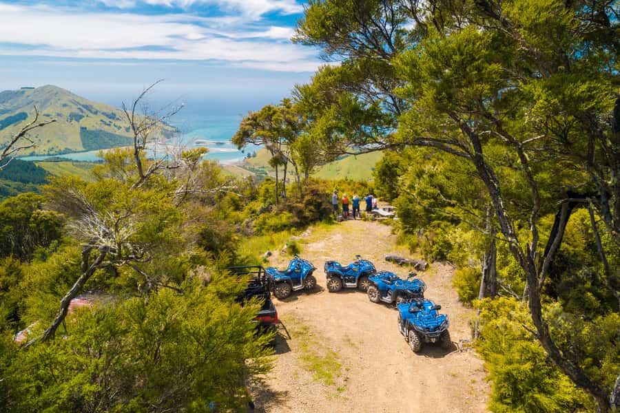 Nelson: Guided Quad Biking Tour Through Forest and Farmland - Safety Briefing, Bike Training, and How the Guide Sets You Up