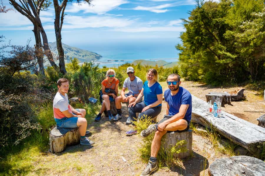 Nelson: Guided Quad Biking Tour Through Forest and Farmland - Starting at Cable Bay Adventure Park: What Happens in the First Half Hour