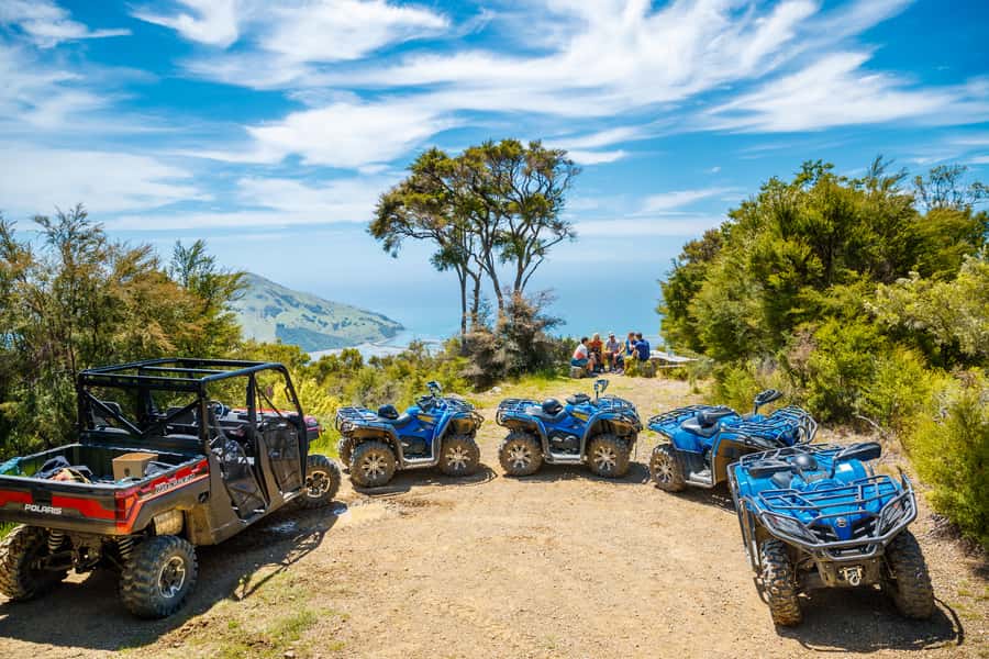 Nelson: Guided Quad Biking Tour Through Forest and Farmland - The 14 km Bayview Circuit Through Forest Trails to Delaware Bay